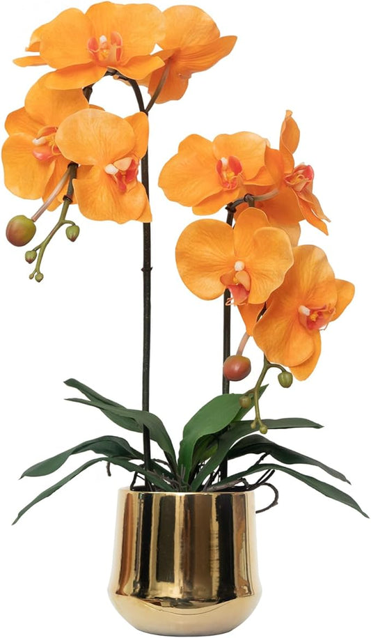 CXGS Orchids Artificial Flowers Realistic Fake Flowers in Ceramic Pot 20" Orange Lifelike Faux Floral Arrangement Soft PU Phalaenopsis for Home Hotel Indoor Decor, Centerpiece Display