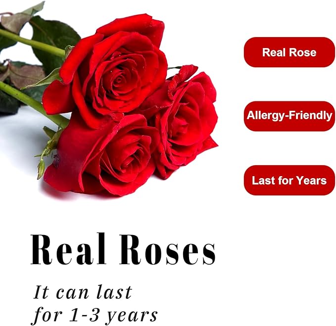 Luxury Preserved Roses – Forever Real Roses Flowers for Delivery in a White Box, Preserved Flowers Birthday Gifts for Women Mom Wife, Ideal for Anniversary (Red 16 Roses, 16 Roses)