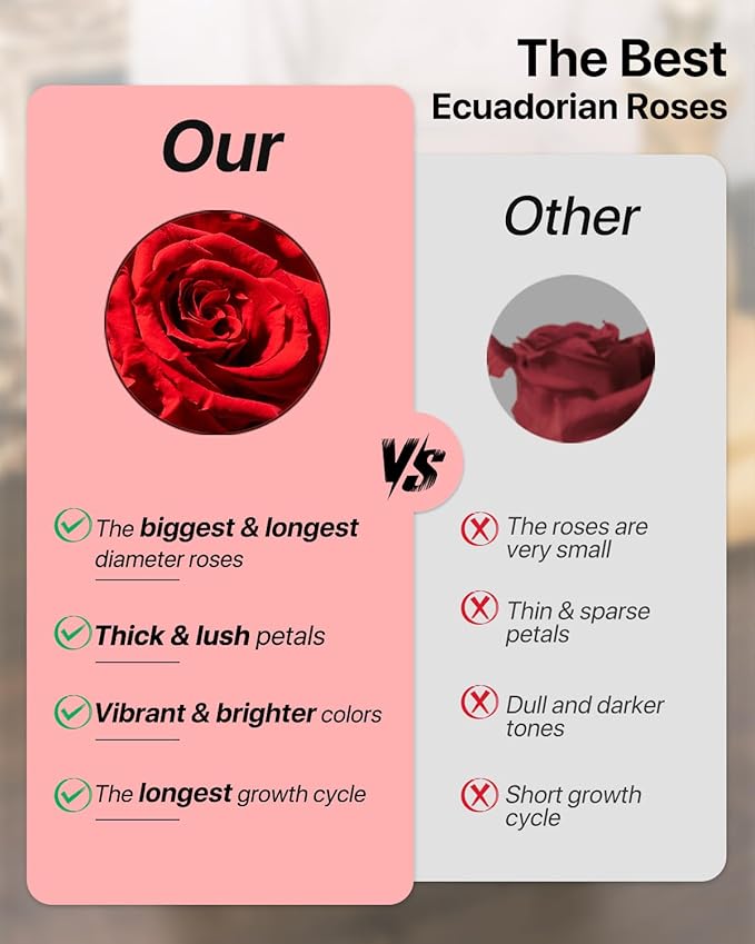 JoyFlower Preserved Flowers with Cute Teddy Bear, Eternal Real Rose Romantic Gift, Red Rose Bear with Gift Box for Girlfriend Wife Her in Valentine's Day, Birthday, Christmas, Weddings, Anniversaries