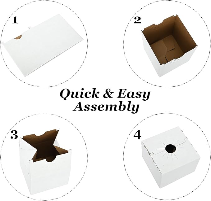 tonchean 100PCS Cardboard Delivery Boxes for Florists, Quick Fold Florist Delivery Box, Flower and Vase Boxes for Secure Floral Arrangements During Transport, 6" x 6" x 4"