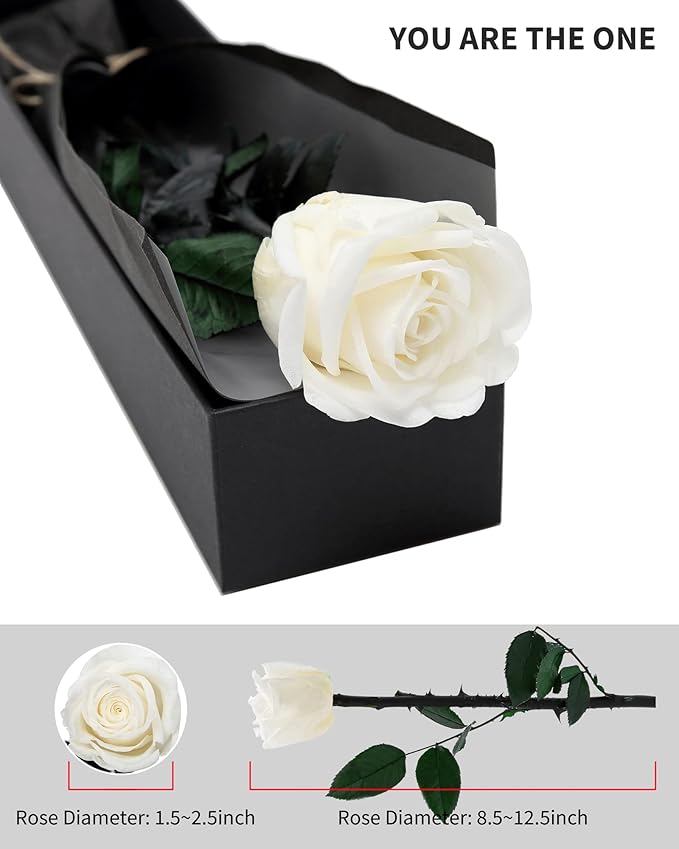White Flowers for Delivery Prime, Preserved White Roses Flower Gifts for Women, Real Roses Single Rose Gifts for Her, Mom Birthday Gifts from Daughter, Valentines Flowers
