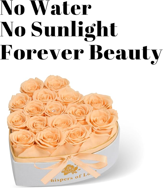 Luxury Preserved Roses – Forever Real Roses Flowers for Delivery in a White Box, Preserved Flowers Birthday Gifts for Women Mom Wife, Ideal for Anniversary (Champagne 16 Roses, 16 Roses)