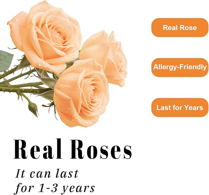Luxury Preserved Roses – Forever Real Roses Flowers for Delivery in a White Box, Preserved Flowers Birthday Gifts for Women Mom Wife, Ideal for Anniversary (Champagne 16 Roses, 16 Roses)