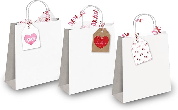 Pro Supply Global 24 Count of 2.5 Inch x 3 Inch Pre Strung XOXO Valentine's Day Gift Tag Assorted Printed Designs on Large Cardstock Gift Hang Tags - Ideal to Use on Bags