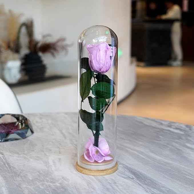 9.8 inches Preserved Rose in Glass Dome Rose with Green Leaves Eternal Love and Natural Beauty for Grandma Mom Girlfriend Classmate Friend Lover (Lilac)