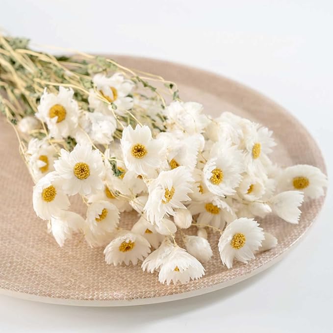 Dried Daisy Flowers Bouquet, 150+ Dry White Flowers, Artificial Sunflowers, 17'' Natural Gerber Daisies Arrangements for Farmhouse Vase Decor, Wedding, DIY Home Office Party Decoration