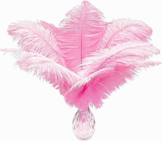 Piokio 20pcs Pink Ostrich Feathers 10-12 inch (25-30cm) Bulk Feathers for Home Decoration and DIY Clothes Decoration, Gatsby Decorations