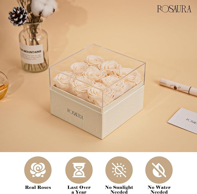 Rosaura Square Preserved Roses Gift Box - Real Forever Flowers in Clear Acrylic Lid, Valentine's for Women (Champagne, 9 Roses)