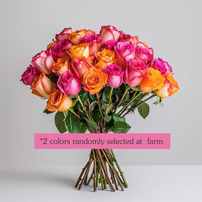 GlobalRose 50 Fresh Cut Assorted Roses Bouquet - Responsibly Sourced Roses Fresh Flowers - Flowers Fresh Bouquet for Wedding, Anniversary, Birthday & Special Occasions (2 Bunches of 25 Stems)