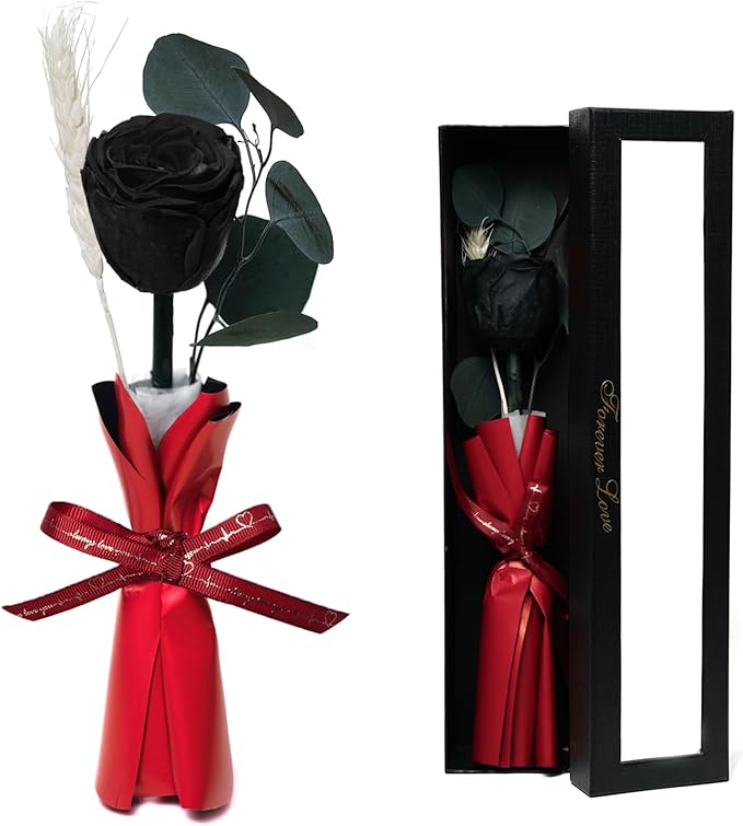 Forever Flower, Preserved Rose Birthday Gifts for Women, Her, Wife, Mom, Prime Eternal Roses Gifts for Mothers Day, Valentines Day, Anniversary, Graduation, Wedding, Single Rose Real Rose (Black)