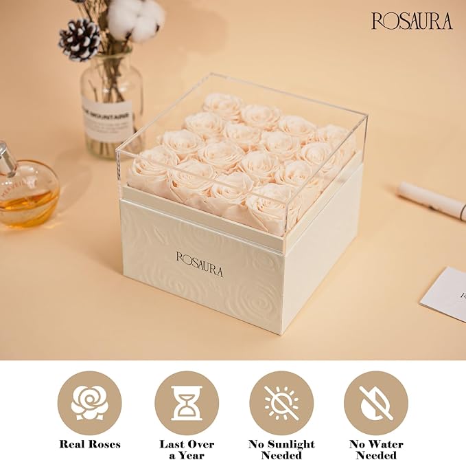 Rosaura Square Preserved Roses Gift Box - Real Forever Flowers in Clear Acrylic Lid, Valentine's for Women (Champagne, 16 Roses)