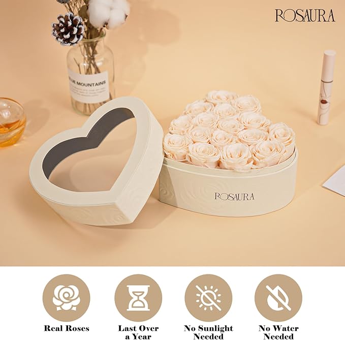 Rosaura Heart-Shaped Preserved Roses Gift Box - Real Forever Flowers for Birthday, Valentine's & Mother's Day (Champagne, 16 roses)
