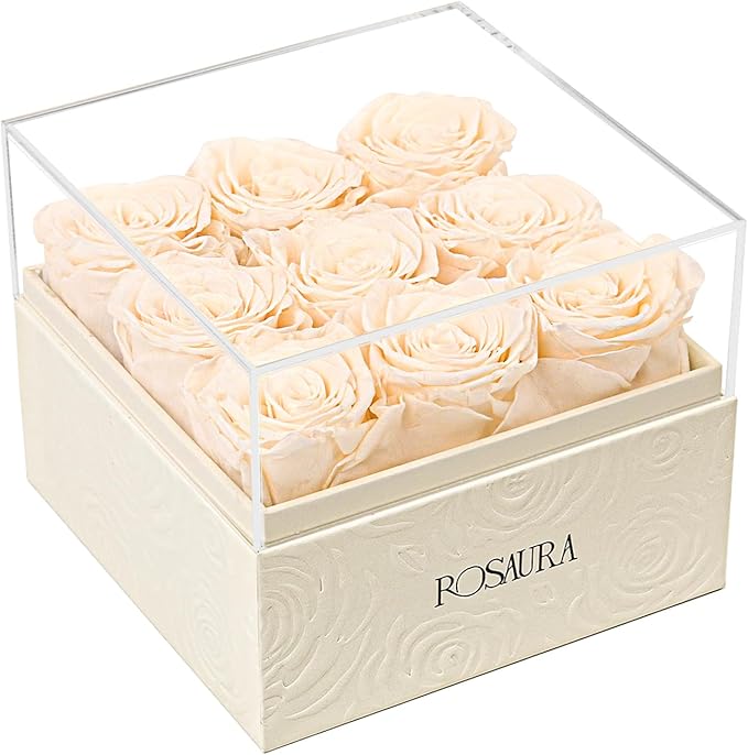 Rosaura Square Preserved Roses Gift Box - Real Forever Flowers in Clear Acrylic Lid, Valentine's for Women (Champagne, 9 Roses)
