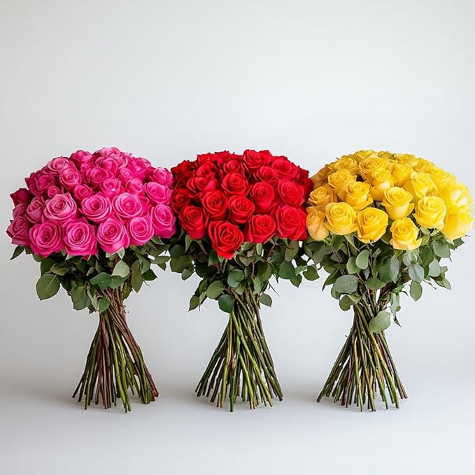 GlobalRose Fresh Cut Assorted Roses - 75 Roses (3 Bundles of 25) Fresh Bouquet for Birthday, Anniversary or Home Decor - Flowers Delivery Gift