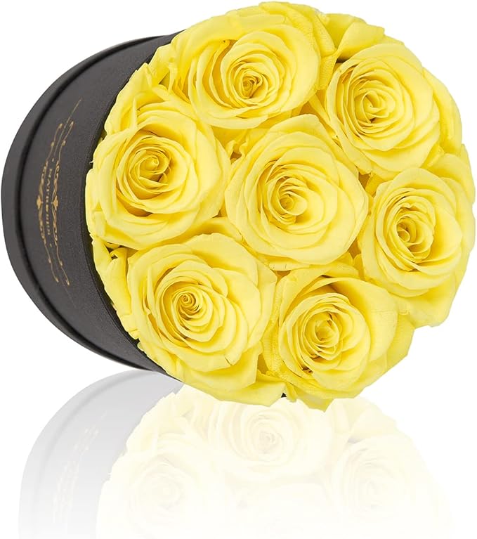 NATROSES 7 Piece Preserved Roses in a Box, Preserved Flowers for Birthday, Flower Gifts for Mothers Day (Yellow)