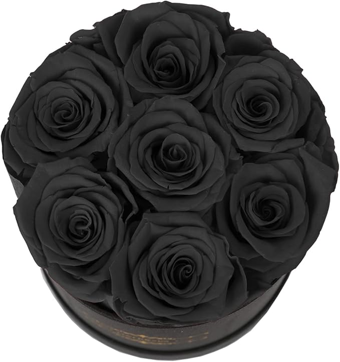 NATROSES 7 Piece Preserved Roses in a Box, Preserved Flowers for Birthday, Flower Gifts for Mothers Day (Black)