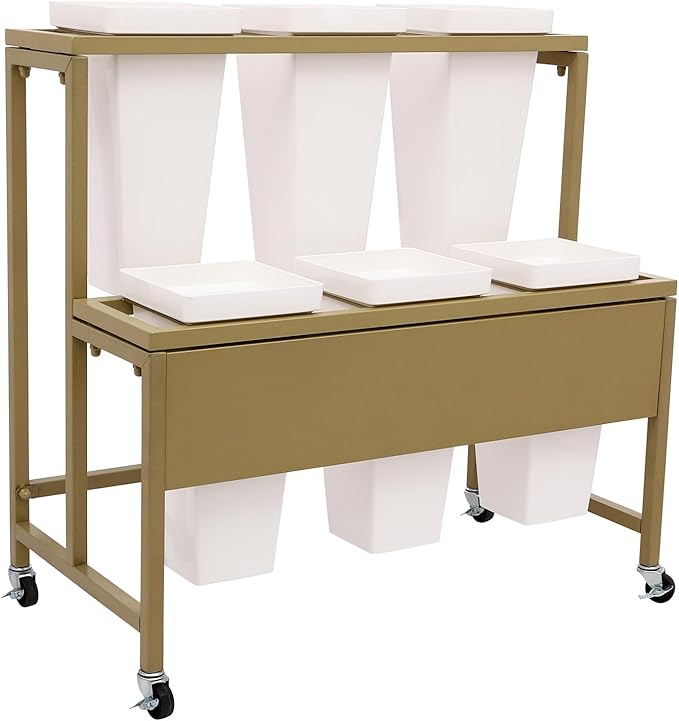 2-Layers Flower Display Stand Metal Flower Display Stand With 6 Pcs Buckets Rolling Plant Stand Flower Cart Moving Florist Bouquet Shelf for Fresh Flower Shop Balcony,Load Capacity 33.07lbs (Gold)