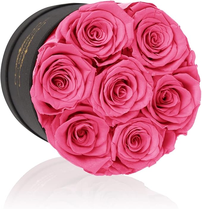 NATROSES 7 Piece Preserved Roses in a Box, Preserved Flowers for Birthday, Flower Gifts for Mothers Day (Pink)