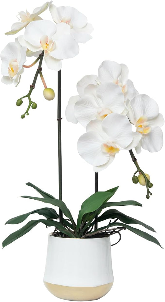 CXGS Orchids Artificial Flowers Realistic Fake Flowers in Ceramic Pot 20" White Lifelike Faux Floral Arrangement Soft PU Phalaenopsis for Home Hotel Indoor Decor, Centerpiece Display