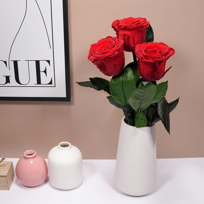 Yamonic Preserved Flowers Rose Gifts for Mom Grandma, Mom Birthday Gifts for Women, Mothers Day Real Flower Rose Gifts for Moms,Her,Wife,Girlfriend on Christmas,Valentine's Day,Anniversary, Home Decor