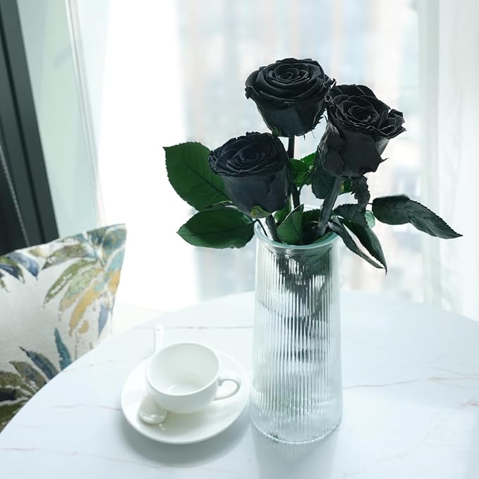 Yamonic Preserved Flowers Rose Gifts for Mom Grandma, Mom Birthday Gifts for Women, Mothers Day Real Flower Rose Gifts for Moms, Her, Wife, Girlfriend Gifts on Christmas,Valentine's Day, Anniversary