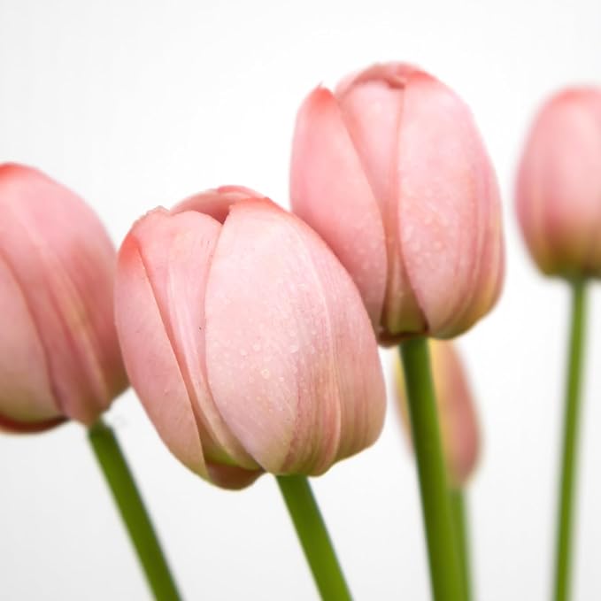 10 Pack Real Touch Tulips Artificial Flowers, 15.7 Inch Bendable Latex Tulips - No Maintenance Faux Flowers for Vase, Home Decor, Wedding Centerpiece (Pink)