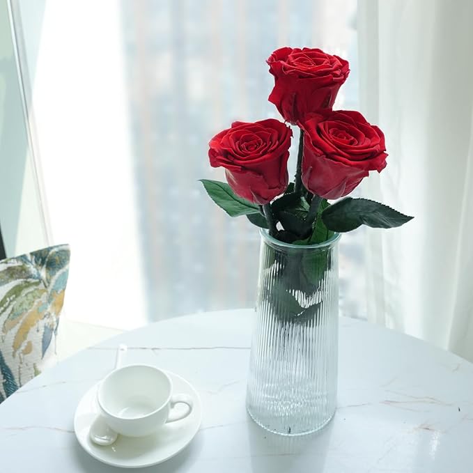 Yamonic Preserved Flowers Rose Gifts for Mom Grandma, Mom Birthday Gifts for Women, Mothers Day Real Flower Rose Gifts for Moms,Her,Wife,Girlfriend on Christmas,Valentine's Day,Anniversary, Home Decor