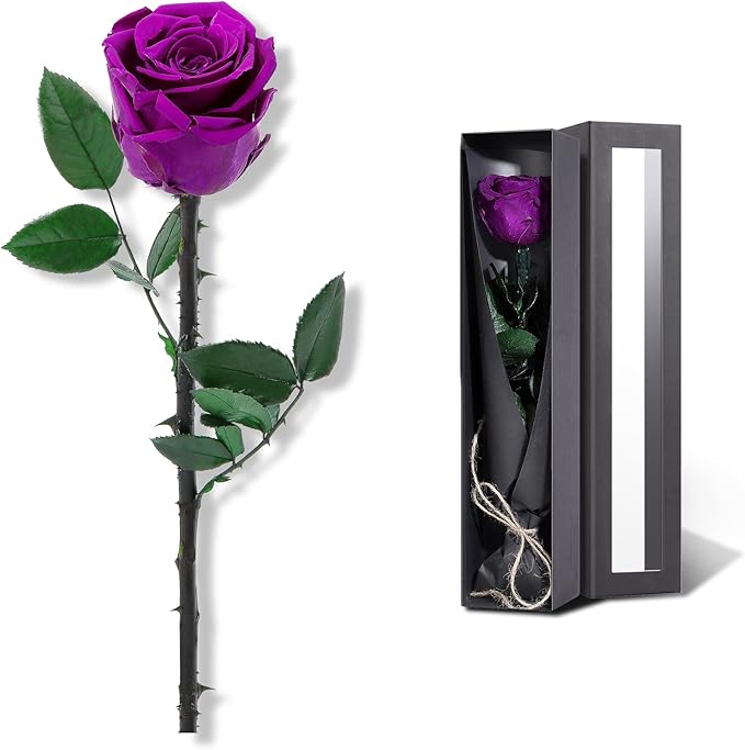 Purple Flowers for Delivery Prime, Preserved Purple Roses Flower Gifts for Women, Real Roses Single Rose Gifts for Her, Mom Birthday Gifts from Daughter, Valentines Flowers