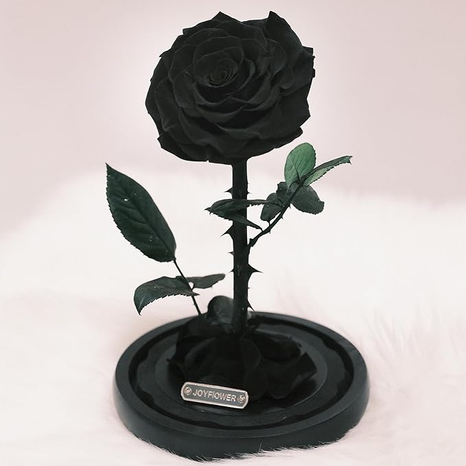 JoyFlower Single Rose Real Rose Flower Gifts for Mom from Daughter Son, Birthday Gifts for Women, Eternal Rose Preserved Flowers for Delivery Prime for Christmas Valentine's Mothers Day(Black)