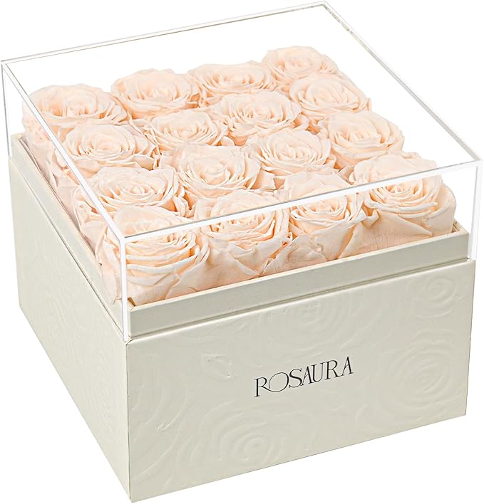 Rosaura Square Preserved Roses Gift Box - Real Forever Flowers in Clear Acrylic Lid, Valentine's for Women (Champagne, 16 Roses)