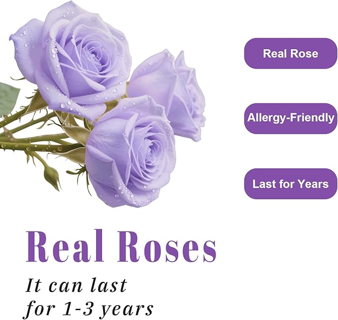 Luxury Preserved Roses – Forever Real Roses Flowers for Delivery in a White Box, Preserved Flowers Birthday Gifts for Women Mom Wife, Ideal for Anniversary (Purple 16 Roses, 16 Roses)