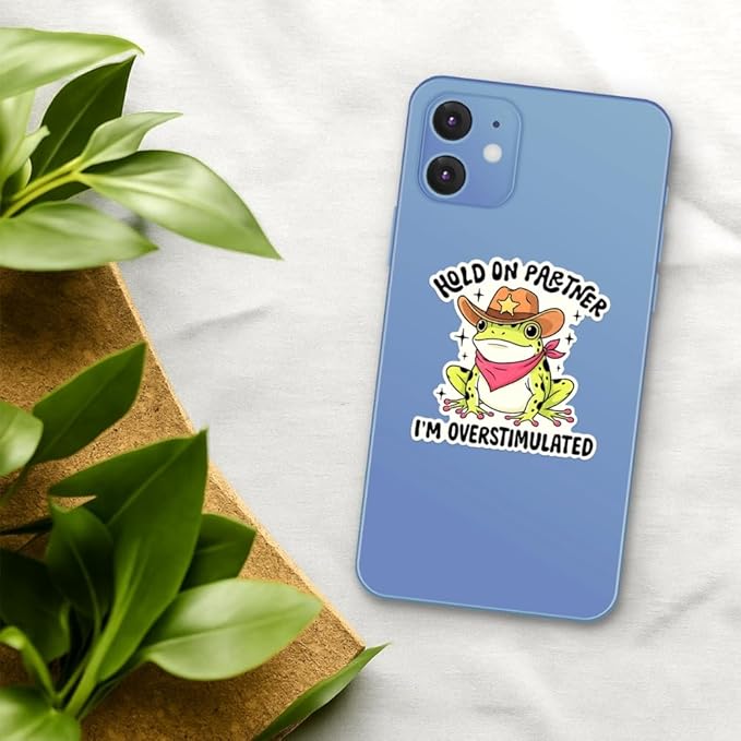 HANDICHI Design 5-Pack 4 Inch Hold On Partner I’m Overstimulated Stickers – Funny Meme Vinyl Decals for Water Bottles, Laptops, Journals, Scrapbooks – Sarcastic Gift for Frog Lovers