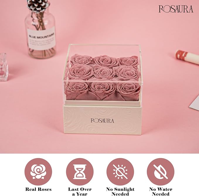 Rosaura Square Preserved Roses Gift Box - Real Forever Flowers in Clear Acrylic Lid, Valentine's for Women (Cappuccino, 9 Roses)