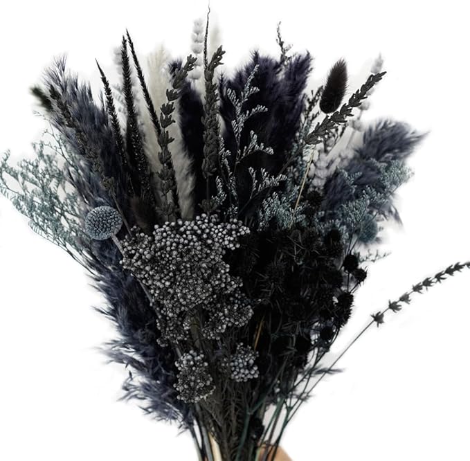 Natural Dried Pampas Grass Bouquet,17" Natural Dried Flower Bouquet, Black Pampas and Thistle Flower Mixed Bouquet Bohemian Style Home Dried Flower Decoration