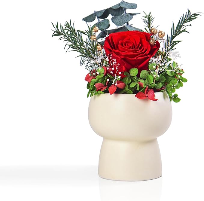 Preserved Floral Gift Set, Everlasting Rose in Small Ceramic Pot - Lasting Beauty for Home Table Decor, Mother's Day, Valentine's Day, Birthday, and Anniversary (Red)