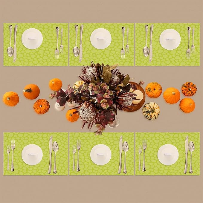 Sage Green Modern Placemats Set of 1 PVC Vinyl Non Slip Table Mats Waterproof Heat Resistant Place Mats Washable Wipeable Dining Table Mat for Kitchen Party Farmhouse Indoor Outdoor Decorative