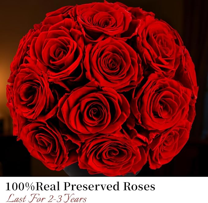 Eternal Rose Dome with Vintage Pedestal, 23 Forever Preserved Roses Arrangement for Home Decoration, Ideal Gift for Christmas,Valentine's Day, Mother's Day, Birthdays-Red