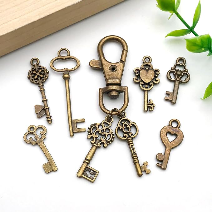 WOCRAFT 60pcs Antique Bronze Small Key Charms Bracelet Charms for Jewelry Making Sets DIY Necklace Bracelet Keychain Crafting Charms Kit Craft Supplies (SN924)