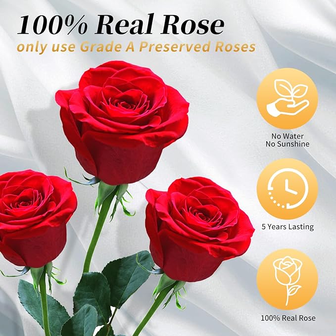 Red Single Forever Roses in a Box,Preserved Flowers for Delivery,Preserved Rose Gifts for Women, Real Roses Gift for Her, Mom Birthday Gifts, Mothers Day Flowers,Valentines Flowers