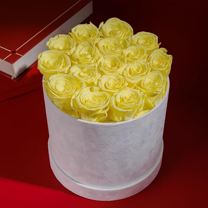 17 Flowers in a Luxury Suede Box, Birthday Gifts for Women, Preserved Flowers, Mothers Day Roses Gift for Mom, Yellow