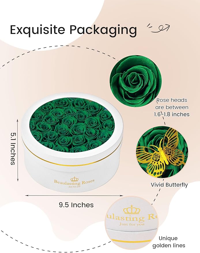 Preserved Roses Forever Flowers Real Roses in a Box Mother's Day Birthday Flowers for Her Mom Women Wife Valentine's Day, Green, 27 Piece