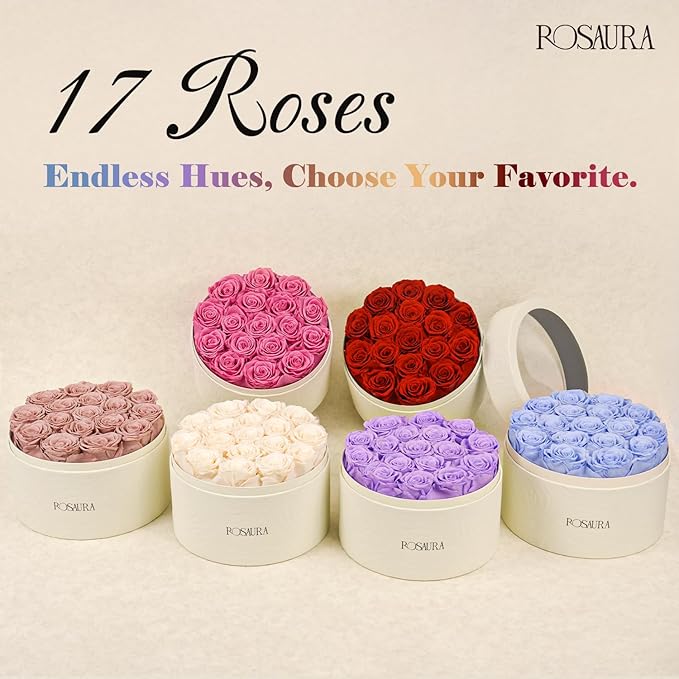 Rosaura Round Preserved Roses Gift Box - Real Forever Flowers for Birthday, Valentine's & Mother's Day (Champagne, 17 Roses)
