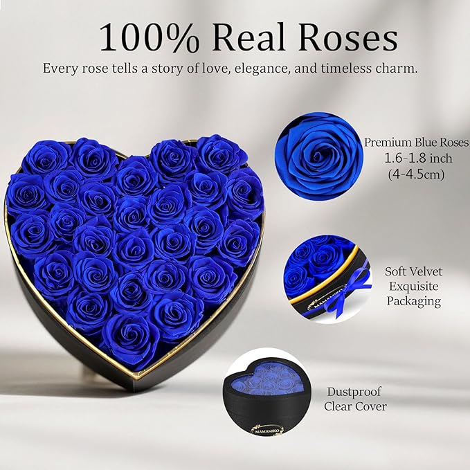 27 Preserved Roses in Heart Shape Gift Box for Her - Forever Flowers for Delivery, Eternal Rose Mothers Gifts for Mom, Wife Anniversary Birthday Gifts for Women, Blue