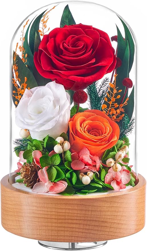 Eterfield Flowers for Delivery Prime, Christmas Preserved Roses Gifts for Women - Forever Flower in Glass Dome Birthday Gifts for Mom Wife Grandma Her Valentine’s Day (Red, Cylindrical)