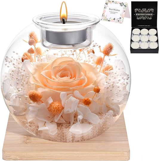 Christmas Birthday Gifts for Women Preserved Roses in Glass Dome with Scented - Romantic Preserved Flower for Women, Girlfriend, Wife, Mom, Grandma, Sister, Her-Champagne