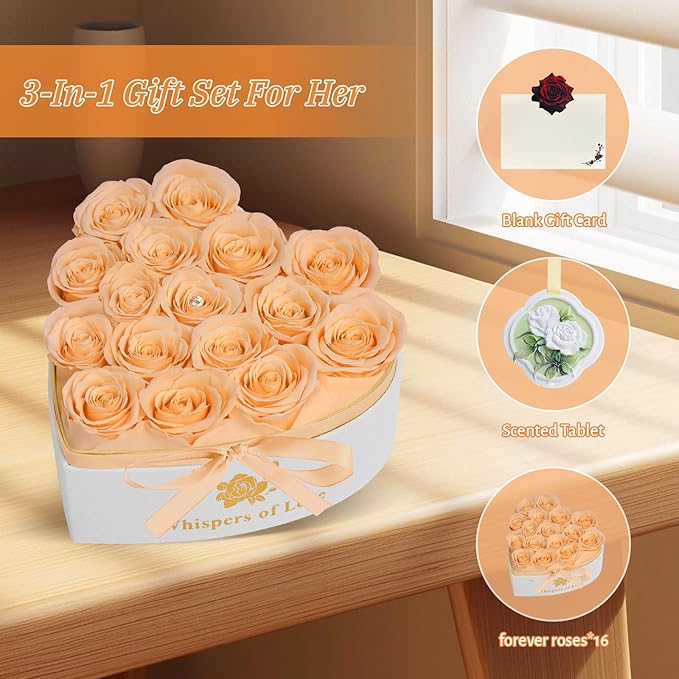 Luxury Preserved Roses – Forever Real Roses Flowers for Delivery in a White Box, Preserved Flowers Birthday Gifts for Women Mom Wife, Ideal for Anniversary (Champagne 16 Roses, 16 Roses)