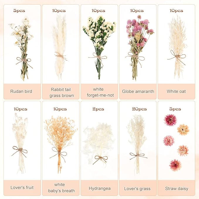 10 Kinds of Dried Flowers for Crafts Green Series Natural Dried Flowers Dry Hydrangea Daisy Babys Breath with Stems Boho Wedding Flower Bouquets with Hemp DIY Floral Arrangement Rope for Home Decor