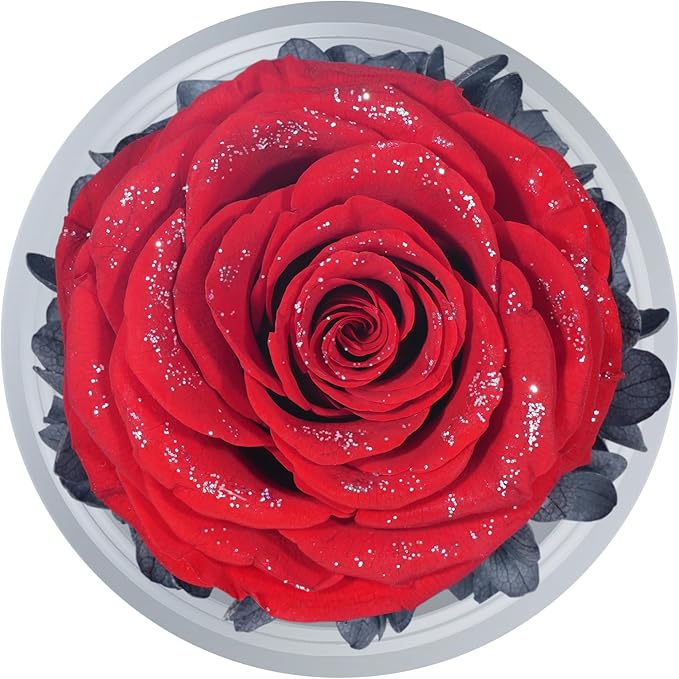 Sunia Preserved Flower Rose Gift for Women - Mother's Day Birthday Gifts for Mom Wife Grandma, Glass Angel Figurines Forever Real Roses Gifts for Her Valentine Day Thanksgiving﻿ (Red Starry Sky)