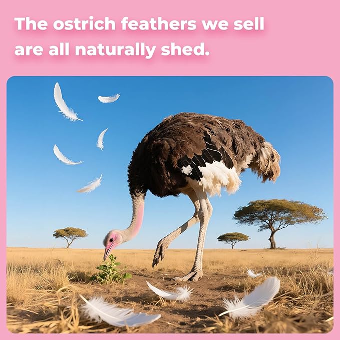 Piokio 20 pcs Natural Pink Ostrich Feathers Plumes 6-8 inch(15-20 cm) Bulk for DIY Handmade Artwork and DIY Clothes, Feather Pens, Dream Catcher, Table Decoration.