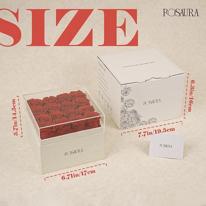 Rosaura Square Preserved Roses Gift Box - Real Forever Flowers in Clear Acrylic Lid, Valentine's for Women (red, 16 Roses)